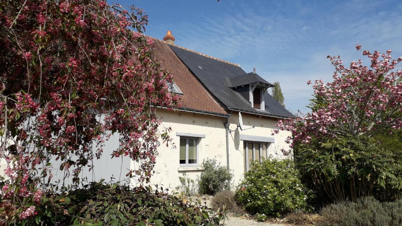 Gite La Fortaiserie Rillé 外观 照片